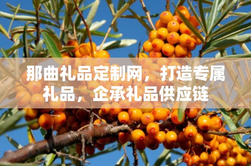 那曲礼品定制网，打造专属礼品，企承礼品供应链